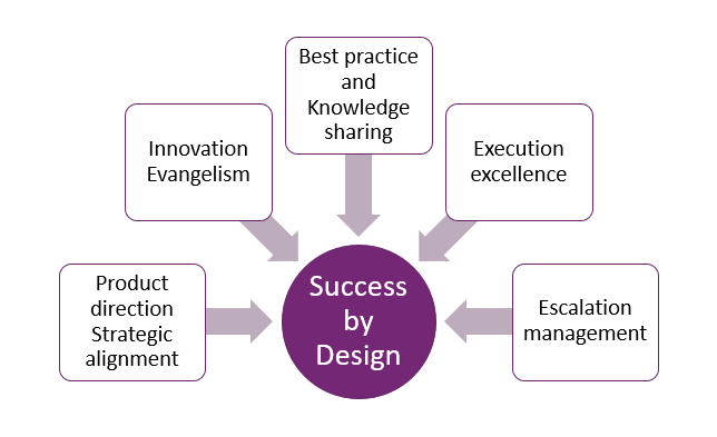 Screenshot of a diagram of Success by Design five key goals.