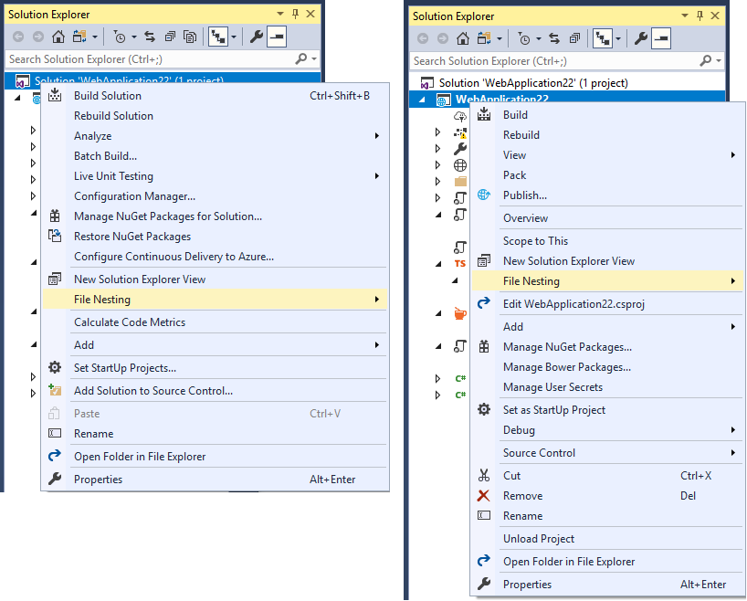 Solution and project-specific nesting rules