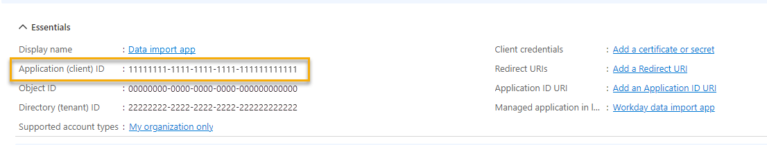 Screenshot that shows the Application client ID.