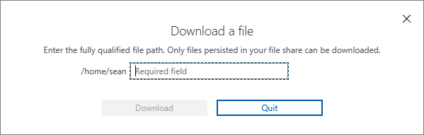 Screenshot des Dialogfelds „Herunterladen“ in Cloud Shell