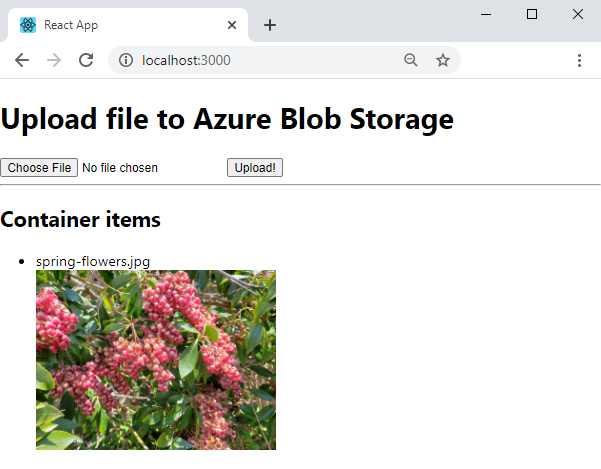 Screenshot: Webbrowser mit einfacher React App, die mit Azure Storage-Blobs verbunden ist