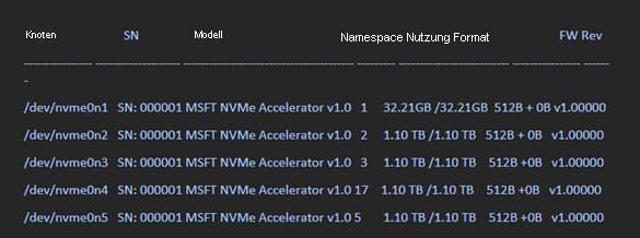 Screenshot: Anweisungen zum Identifizieren von NVMe-Datenträgern auf einer Linux-VM.