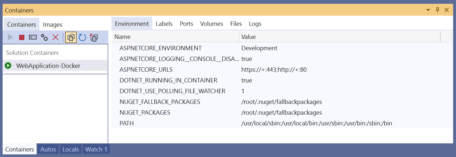 Screenshot des Fensters „Container“ in Visual Studio, in dem die Umgebungsvariablen für einen Container angezeigt werden.