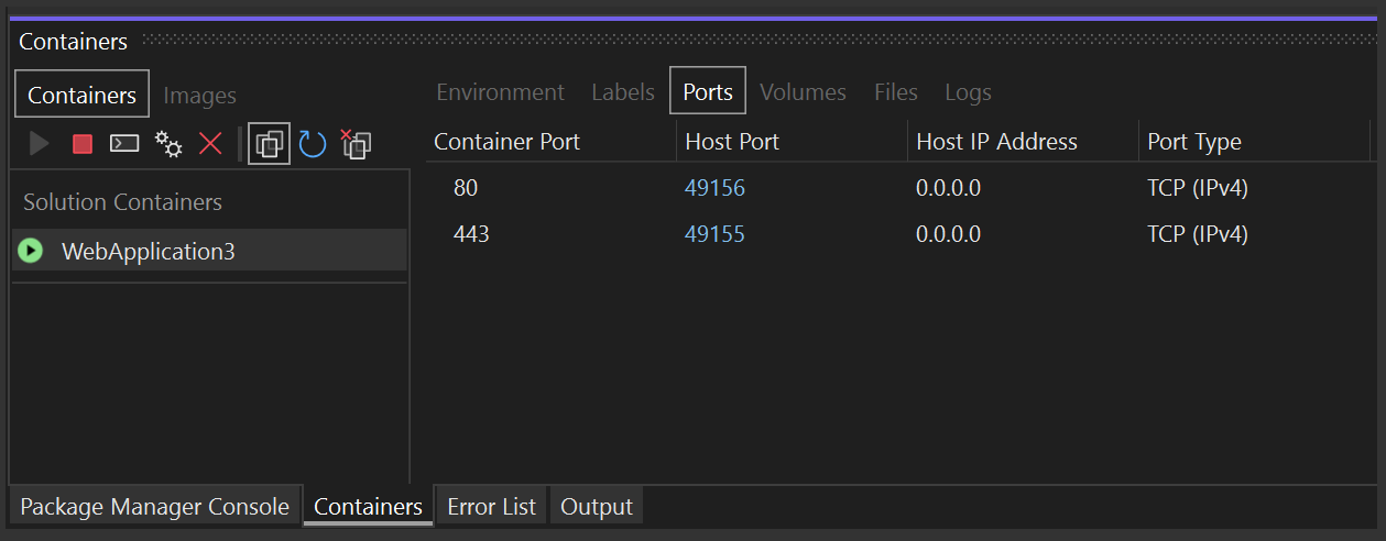 Screenshot: Registerkarte „Ports“ im Fenster „Container“