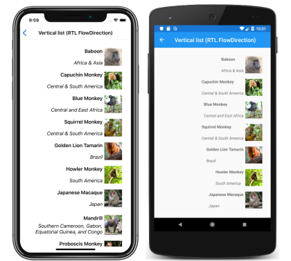 Screenshot eines vertikalen Listenlayouts von CollectionView von rechts nach links unter iOS und Android