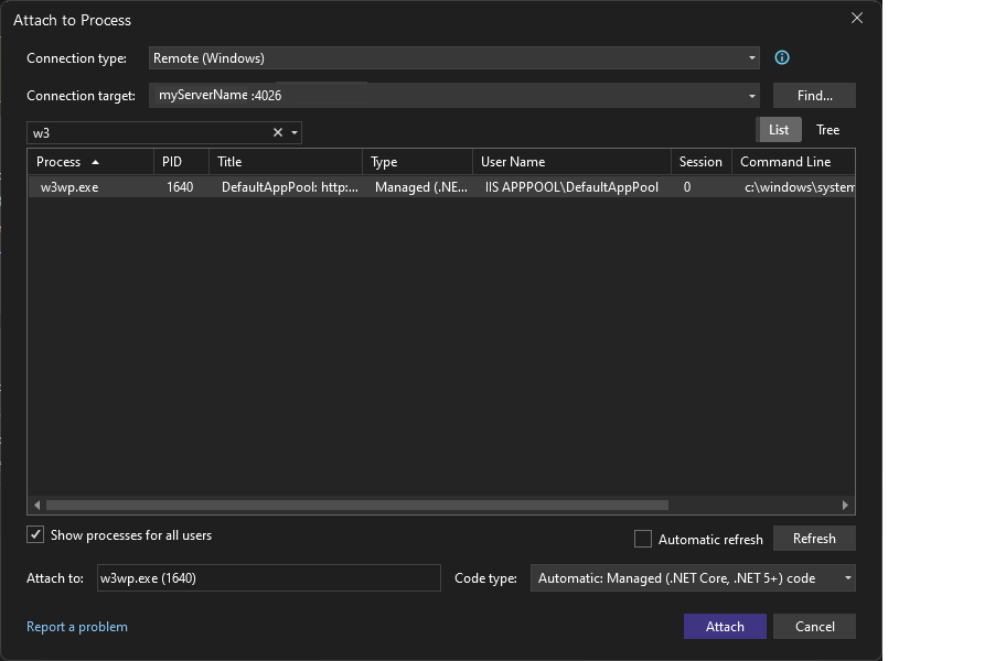 Screenshot des Dialogfelds „An Prozess anhängen“.