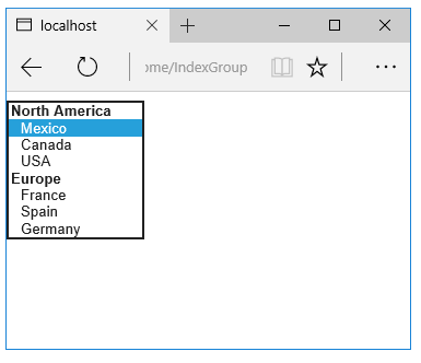 Beispiel für Optionsgruppen