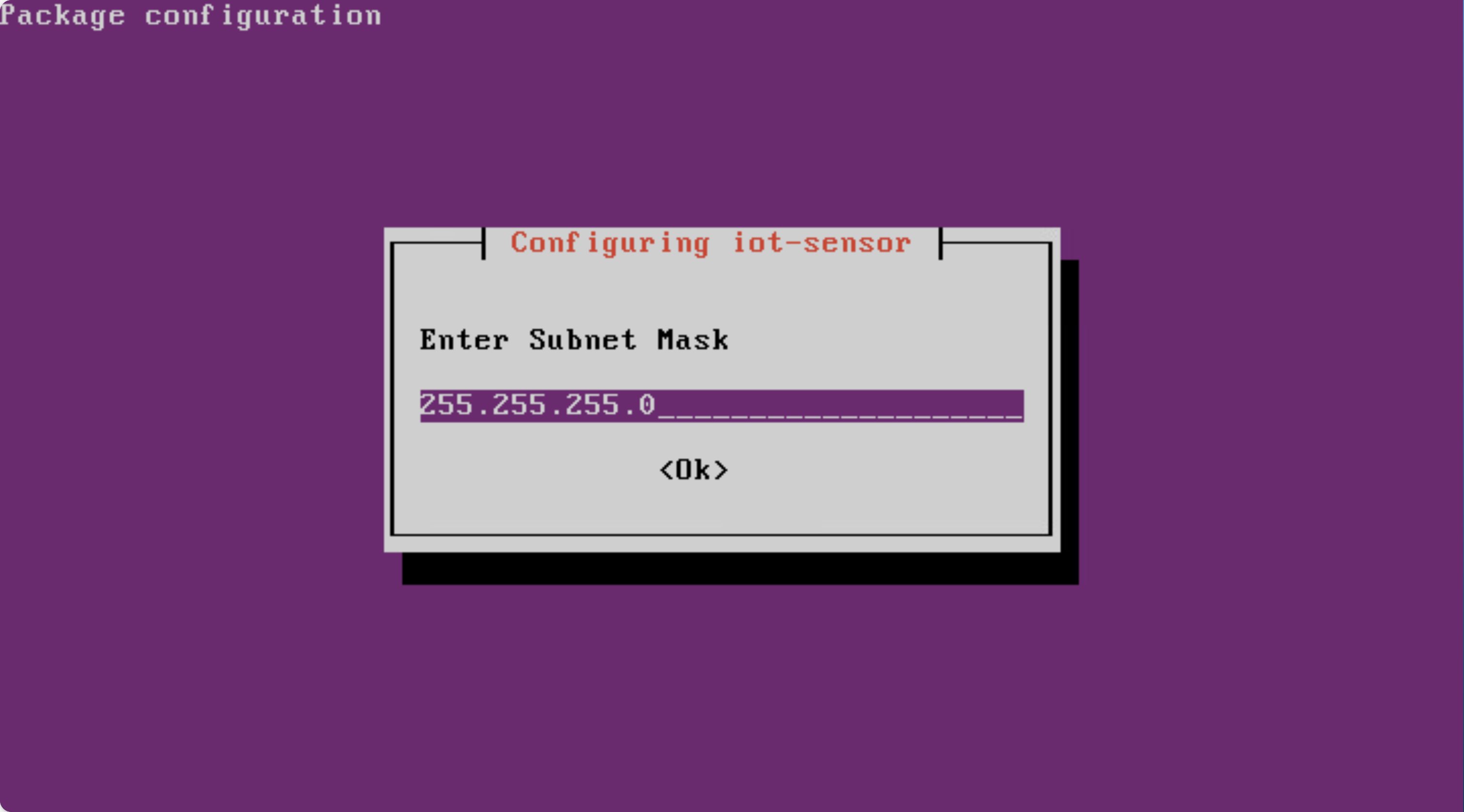 Screenshot: Bildschirm zum Eingeben der Subnetzmaske.
