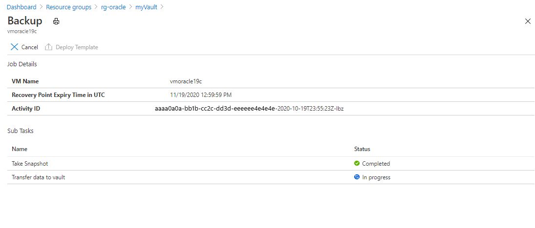Screenshot mit detaillierten Statusinformationen für einen Sicherungsauftrag.