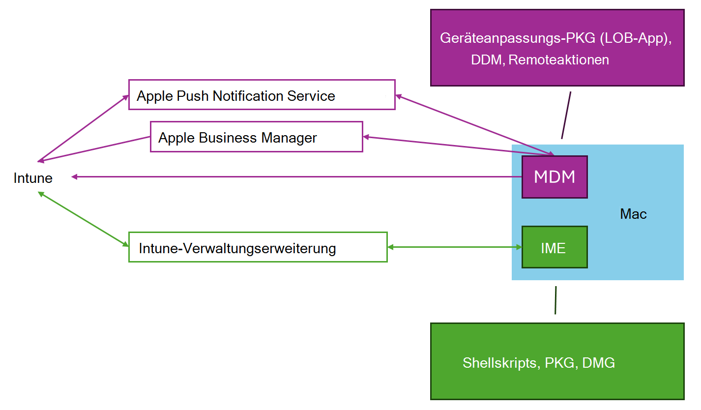 Ein Diagramm, das zeigt, wie macOS MDM und die Intune Managemnt-Erweiterung zusammenarbeiten, um die Verwaltung von macOS-Geräten mithilfe von Microsoft Intune