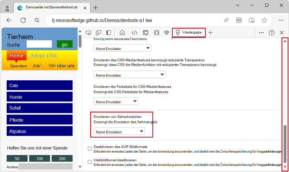 Abschnitt Emulieren von Sehfehlern im Renderingtool