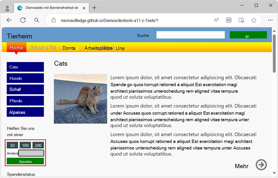Das einzige über die Tastatur zugängliche Element im Spendenformular ist das Texteingabefeld.