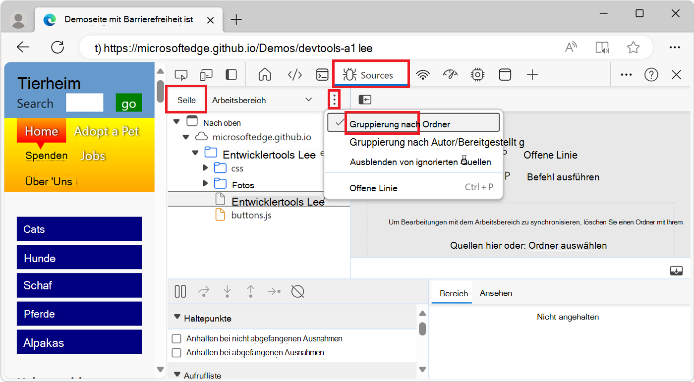 Die Nach Ordner gruppierten Ressourcendateien der Webseite auf der Registerkarte Seite des Tools 