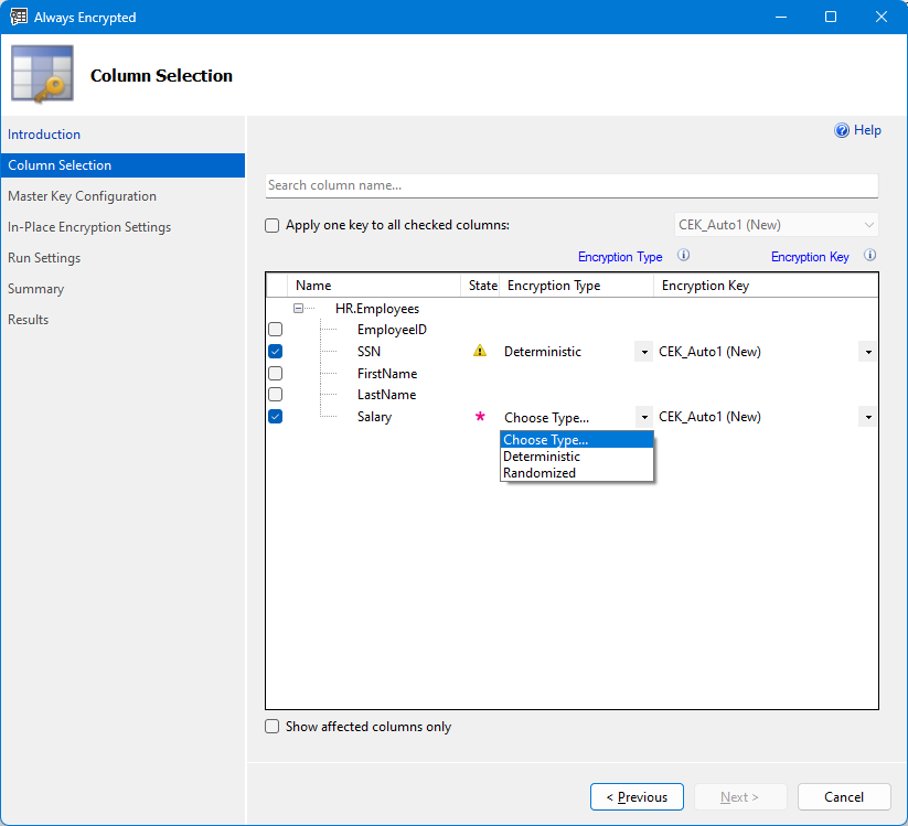 Screenshot der Spaltenauswahl des Assistenten Always Encrypted.