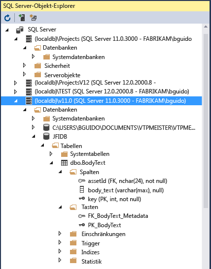 Screenshot that shows the SQL Server Object Explorer window.