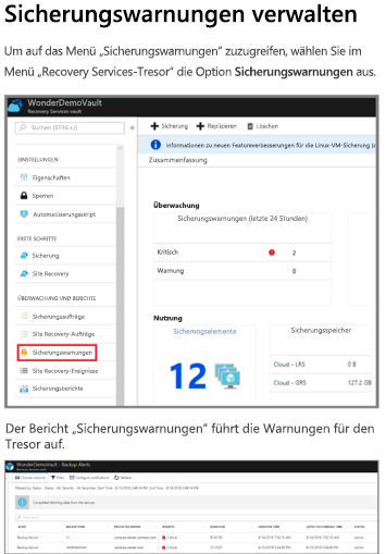 Screenshot des Berichts Sicherungswarnungen.