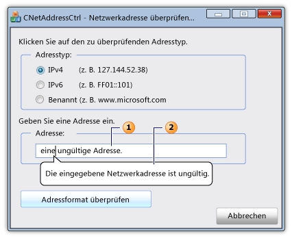 Dialog with a network address control and infotip.