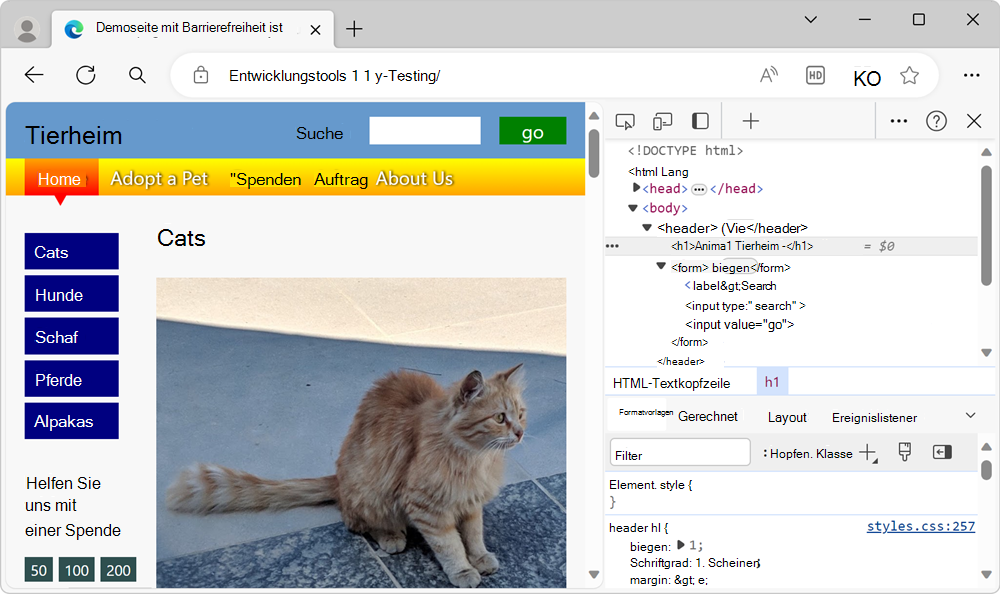 Die Demoseite mit DevTools daneben