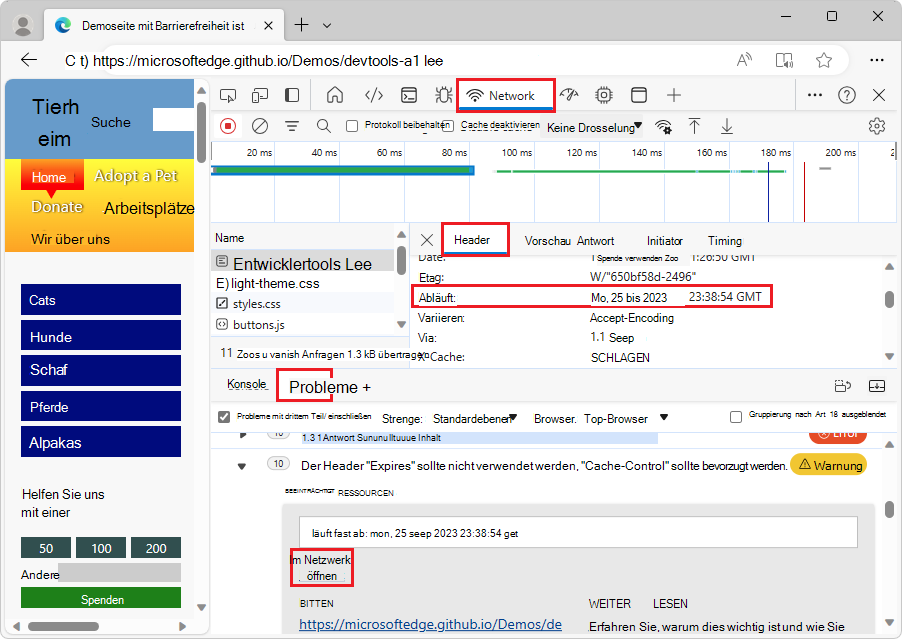 Das Tool Netzwerk wird geöffnet, wenn Sie einen Netzwerkressourcenlink auswählen.