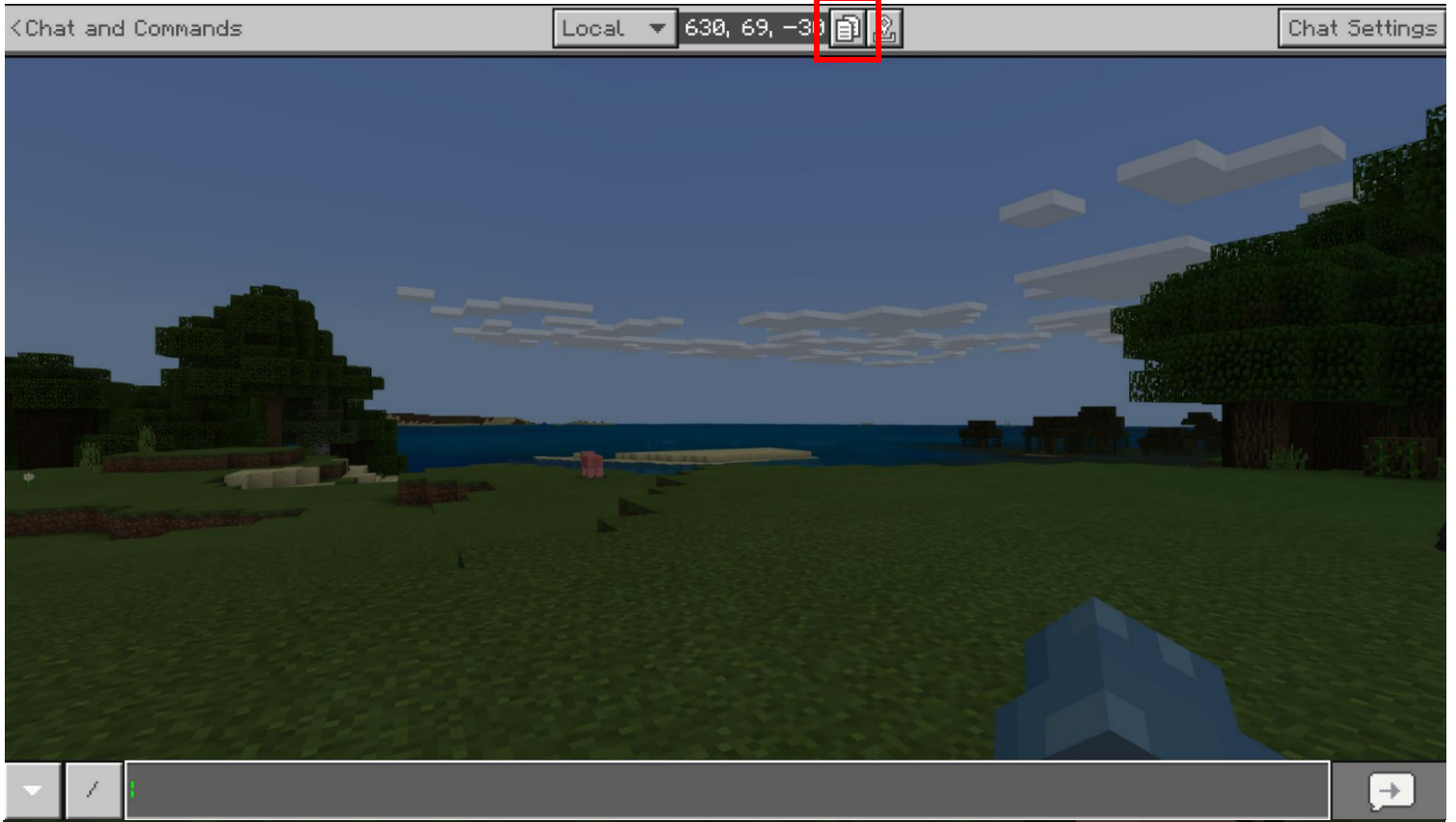 Image with the copy button highlighted at the top of the chat screen
