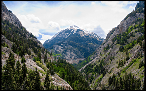 Originalbild einer Landschaft