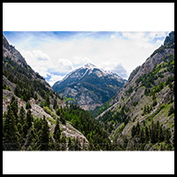 Landschaftsbild nach der Größenänderung