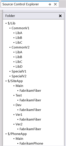 Diagram that shows libraries stored in a dedicated project.