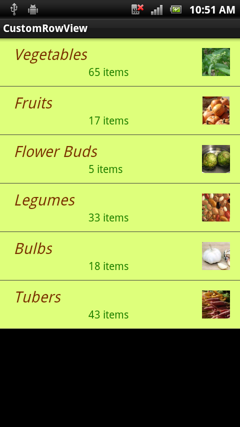 Screenshot der resultierenden CustomRowView
