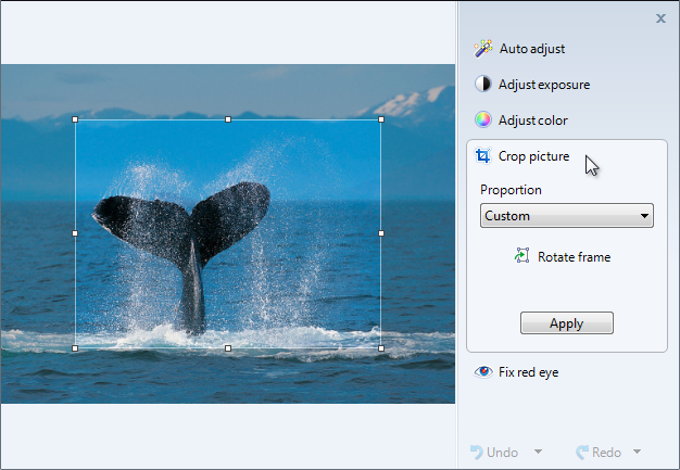 Screenshot des Fotos mit dem Menü 