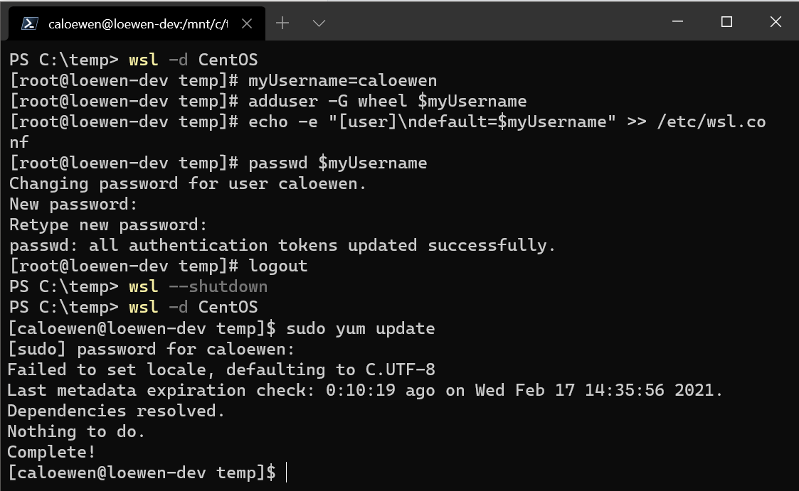Beispiel für den obigen Code, der in WSL ausgeführt wird