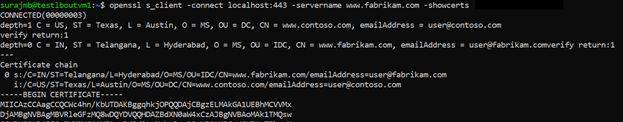 Screenshot der OpenSSL-Zertifikatüberprüfung.