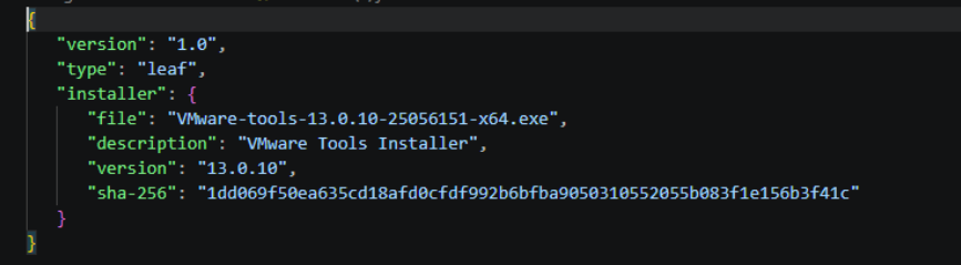 Screenshot der versionsspezifischen metadata.json Datei im Vmtools-Versionsordner.