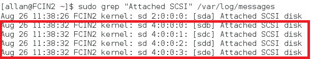 Screenshot: grep-Befehl und Antwort darauf mit den angefügten SCSI-Datenträgern