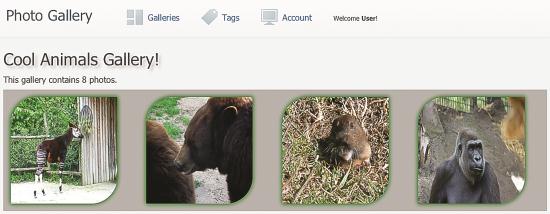 Photo Gallery Images with Flexbox Applied