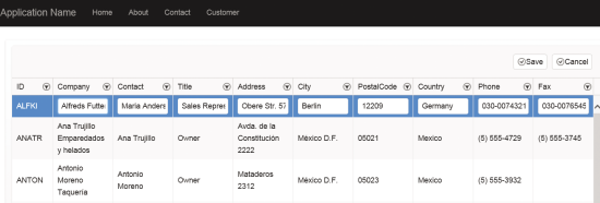 The Customer Edit View