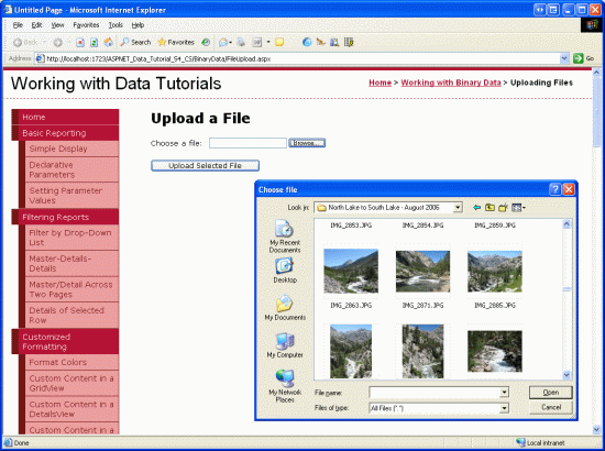Der Benutzer kann eine Datei auswählen, die von ihrem Computer auf den Server hochgeladen werden soll.