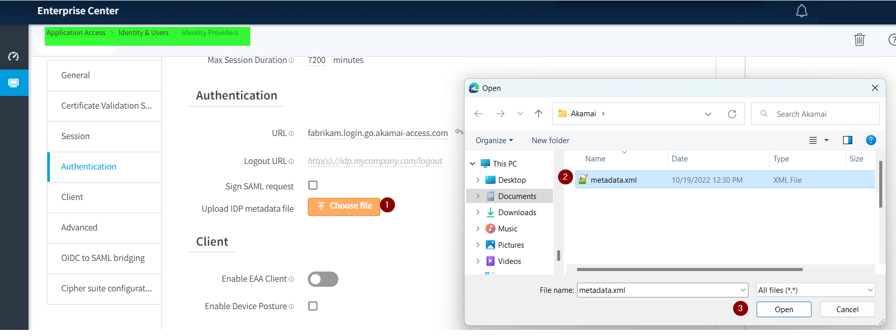 Screenshot shows the metadata file.