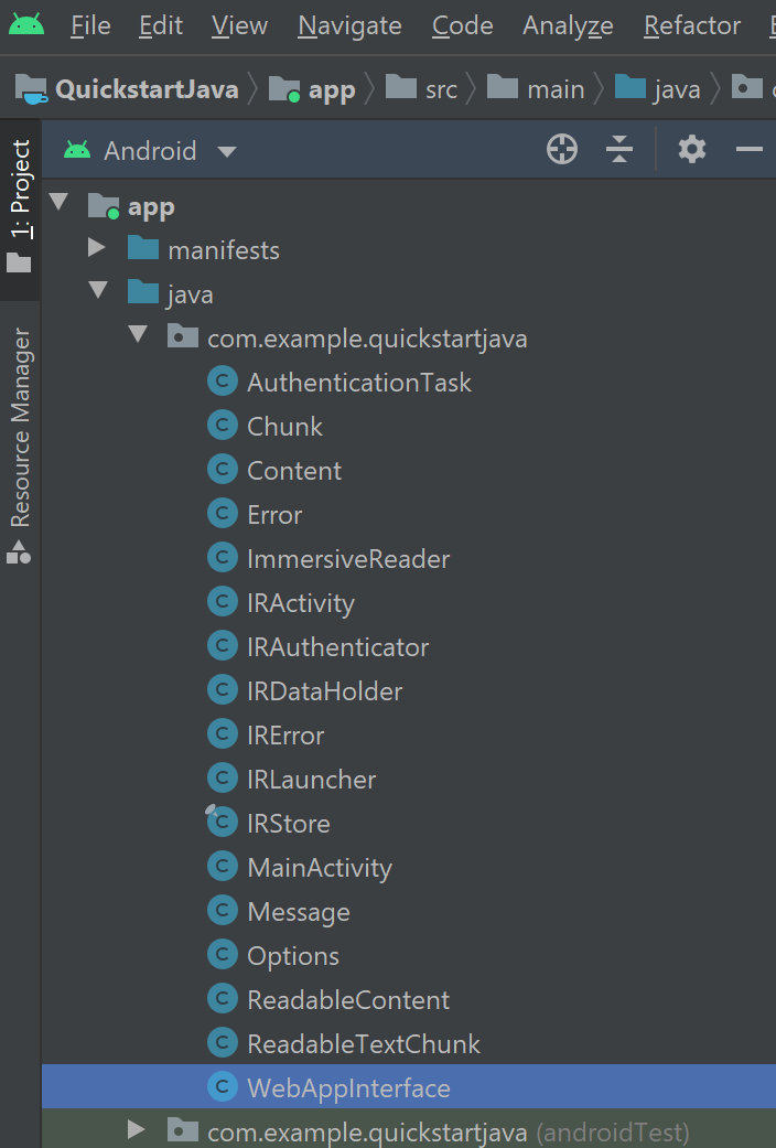 Screenshot of WebAppInterface Java class file.