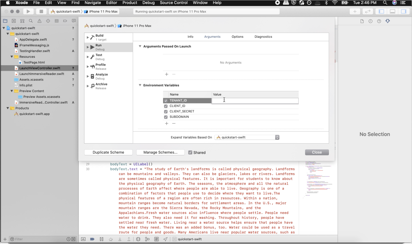 Screenshot of the edit scheme environment variables.
