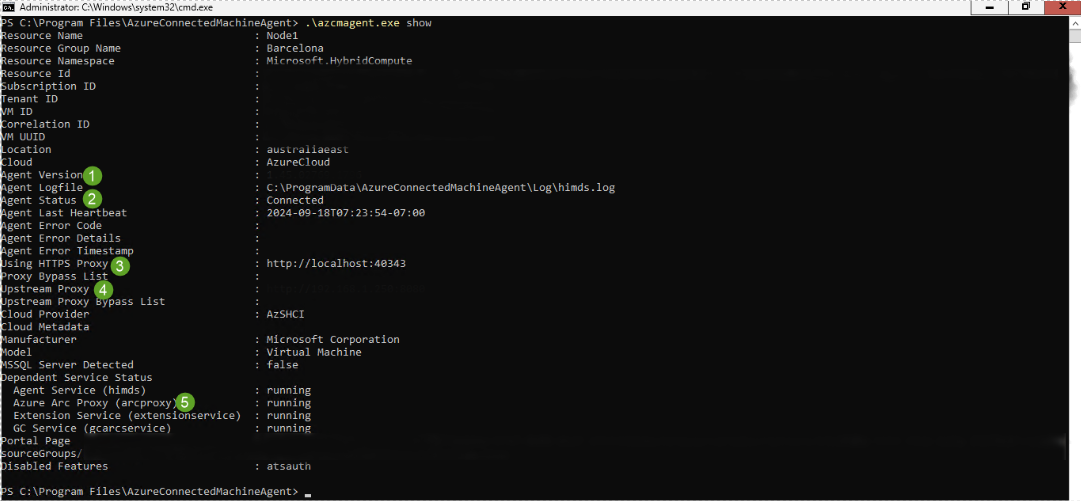 Screenshot des Arc-Agents mit Gateway mit manueller Methode.