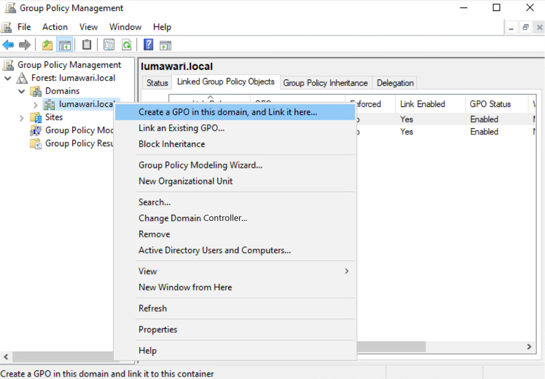 Screenshot des GPO-Menüelements.