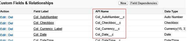 Screenshot shows the Custom Fields & Relationships with the A P I names called out.