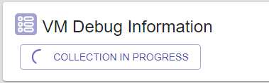 Screenshot shows V M Debug Information collection in progress