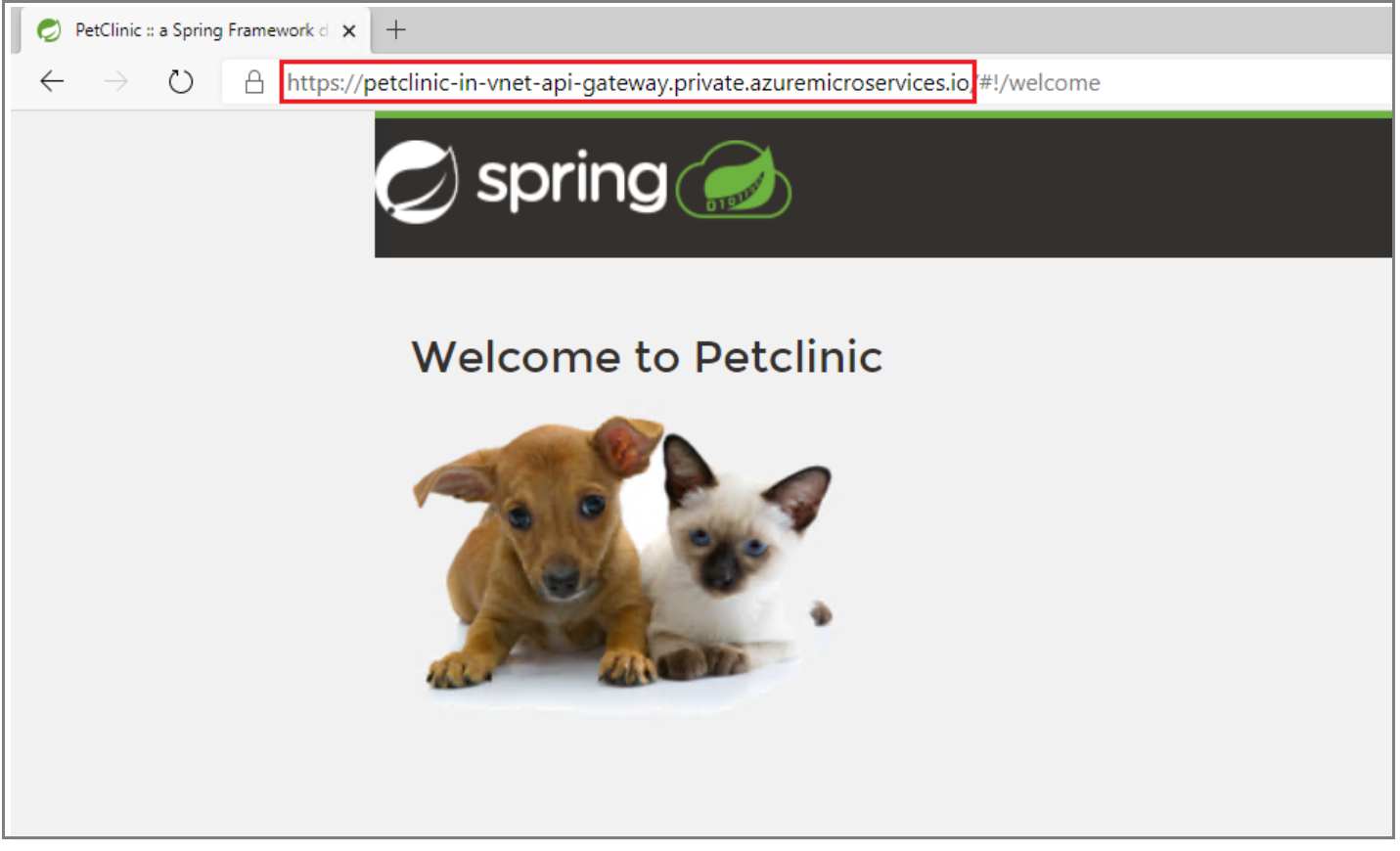 Screenshot der Beispielanwendung in einem Browserfenster mit hervorgehobenem privaten FQDN in der URL.