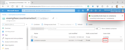 Screenshot showing a container's broken lease within the Azure portal.