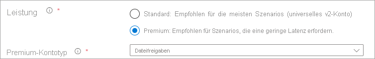 Screenshot des Optionsfelds „Leistung“, in dem „Premium“ ausgewählt ist und als Kontotyp der Eintrag „Dateifreigaben“ ausgewählt ist.