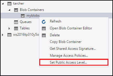 Verwalten von Azure Blob Storage-Ressourcen mit dem Storage-Explorer |  Microsoft Learn