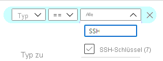 Screenshot des Filterns der Liste, um alle Ihre SSH-Schlüssel anzuzeigen.