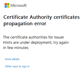Screenshot, der die Fehlermeldung zeigt, die Benutzer sehen, wenn Updates im Gange sind.