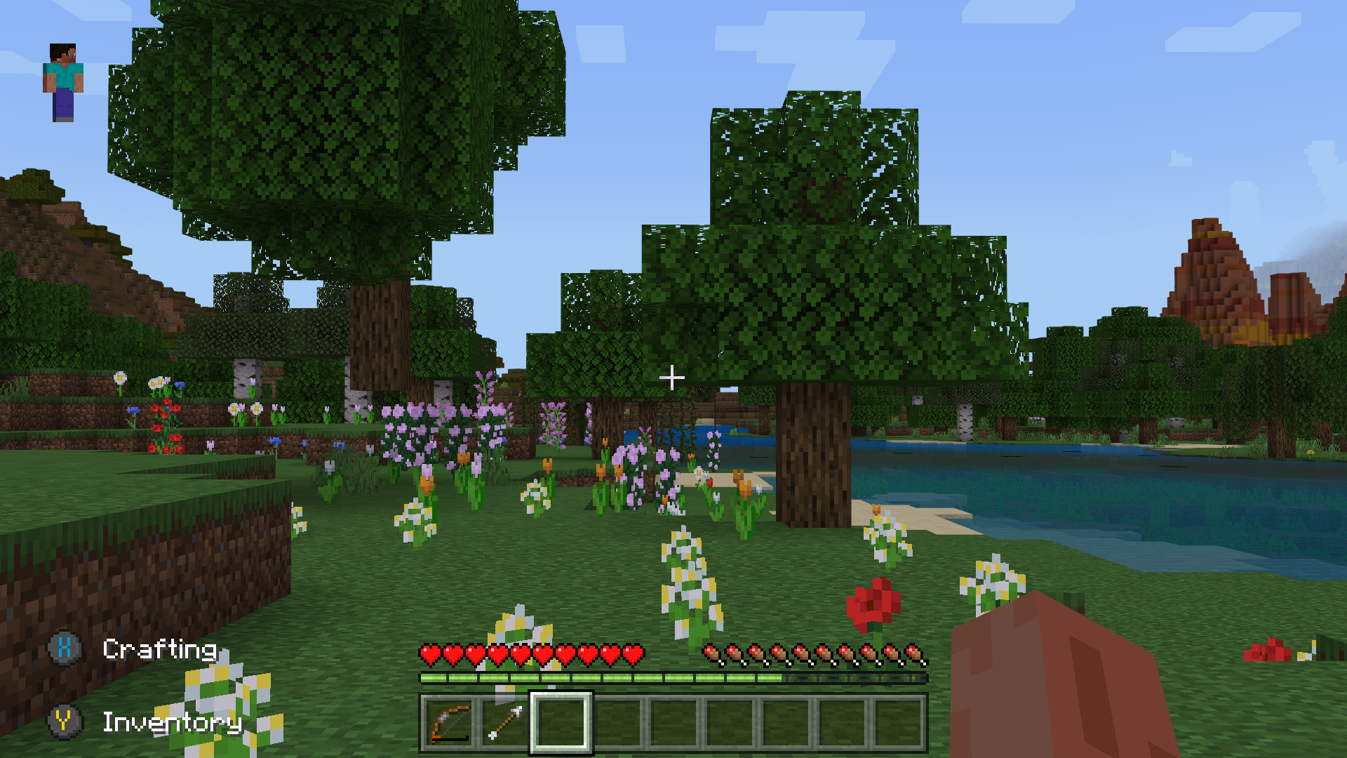 Minecraft screenshot of low field of view showing less in view compared to the wide lens screen shot in the previous image. The tree on the left and flowers on a ridge to the right can no longer be seen, and the number of white and red flowers in view has decreased. Everything in view has been brought inwards and no more stretching near the edges of the screen is present.